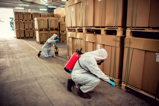 Professional Pest Control in Rancho Palos Verdes, CA