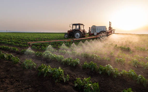 Best Ant Control Services  in Rancho Palos Verdes, CA