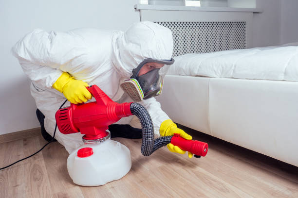 Best Rodent Control Near Me  in Rancho Palos Verdes, CA