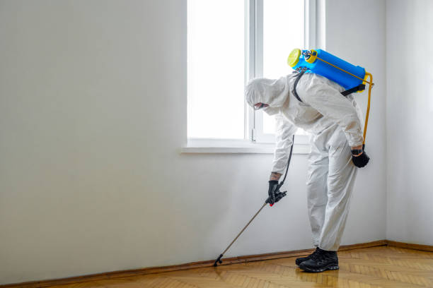 Best Residential Pest Control  in Rancho Palos Verdes, CA