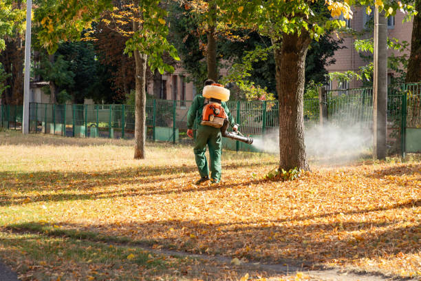 Best Rat Extermination Near Me  in Rancho Palos Verdes, CA