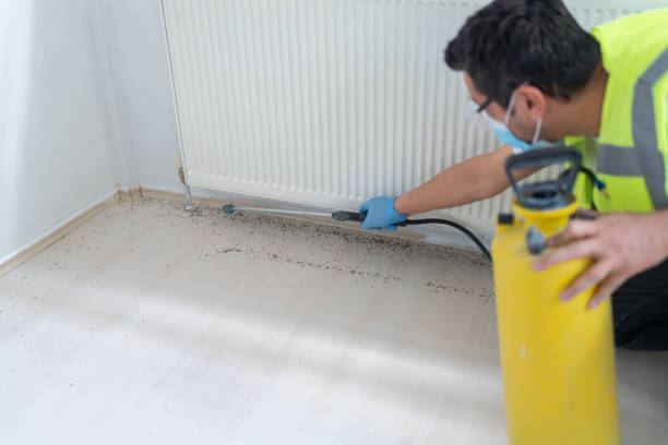 Best Emergency Pest Control  in Rancho Palos Verdes, CA