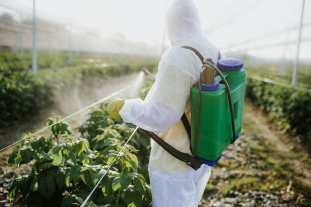 Best Commercial Pest Control Services  in Rancho Palos Verdes, CA